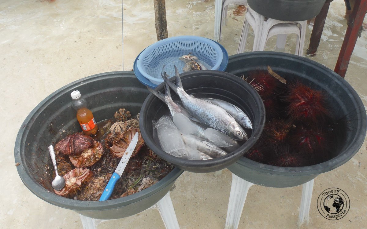 a selection of fish and sea food offered on the sand dune of Virgin island panglao - Why we won’t recommend Island hopping in Panglao - traveling to the Philippines tips