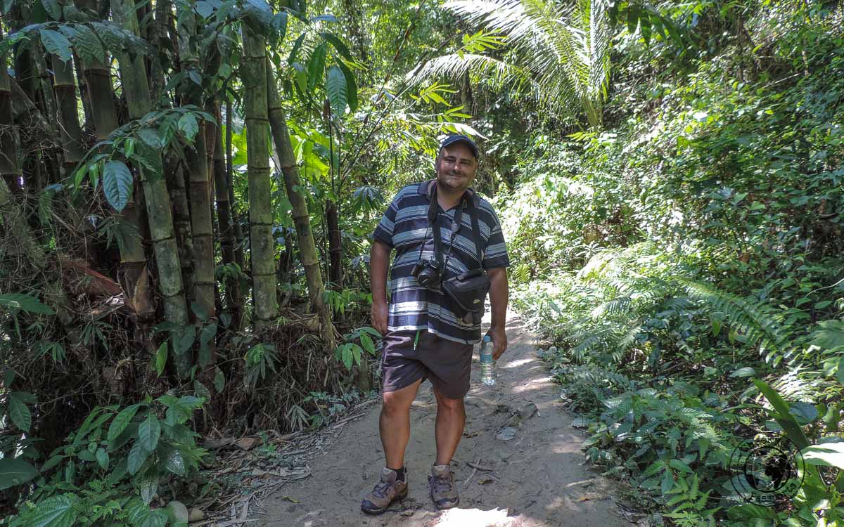 Nikki trekking along in the forest - travel tips philippines