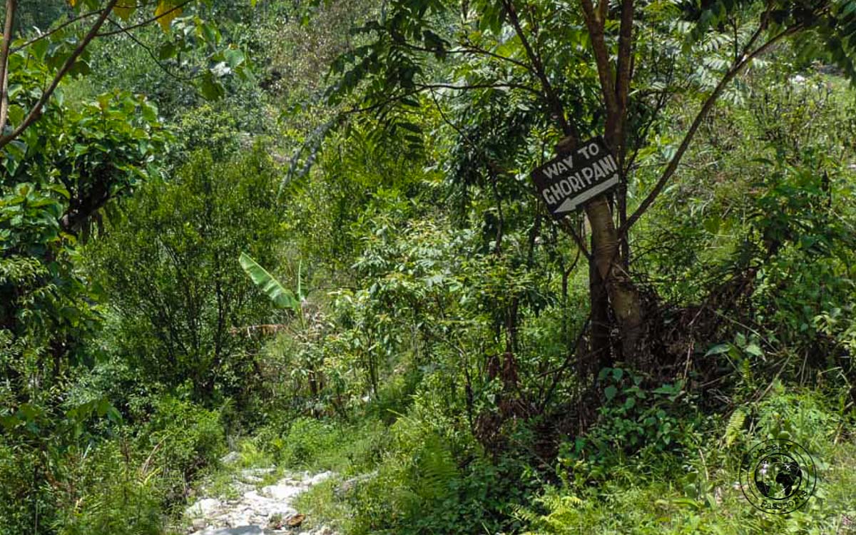 Way to Ghoripani at the Poon hill trek, Pokhara