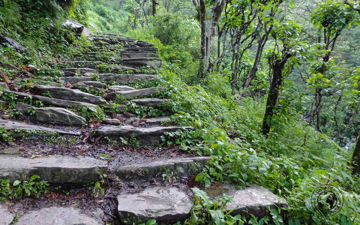 The path at the Poon hill trek, Pokhara