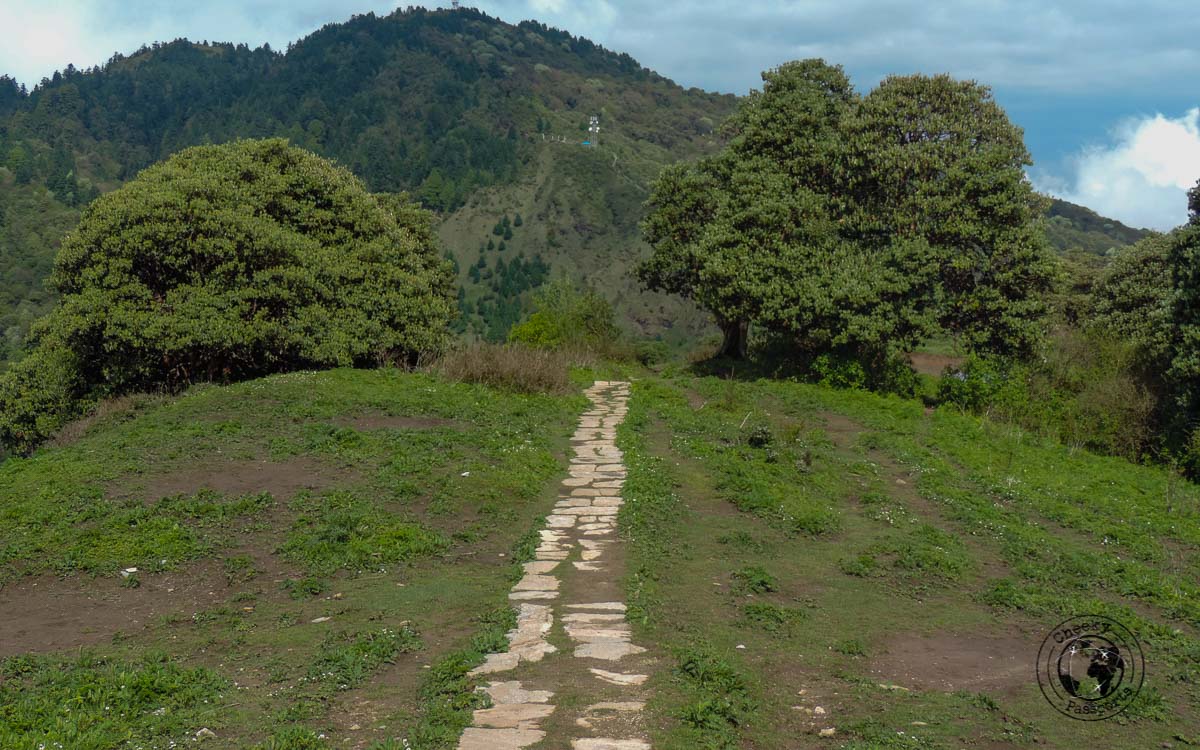 top of the hill - Poon hill trek