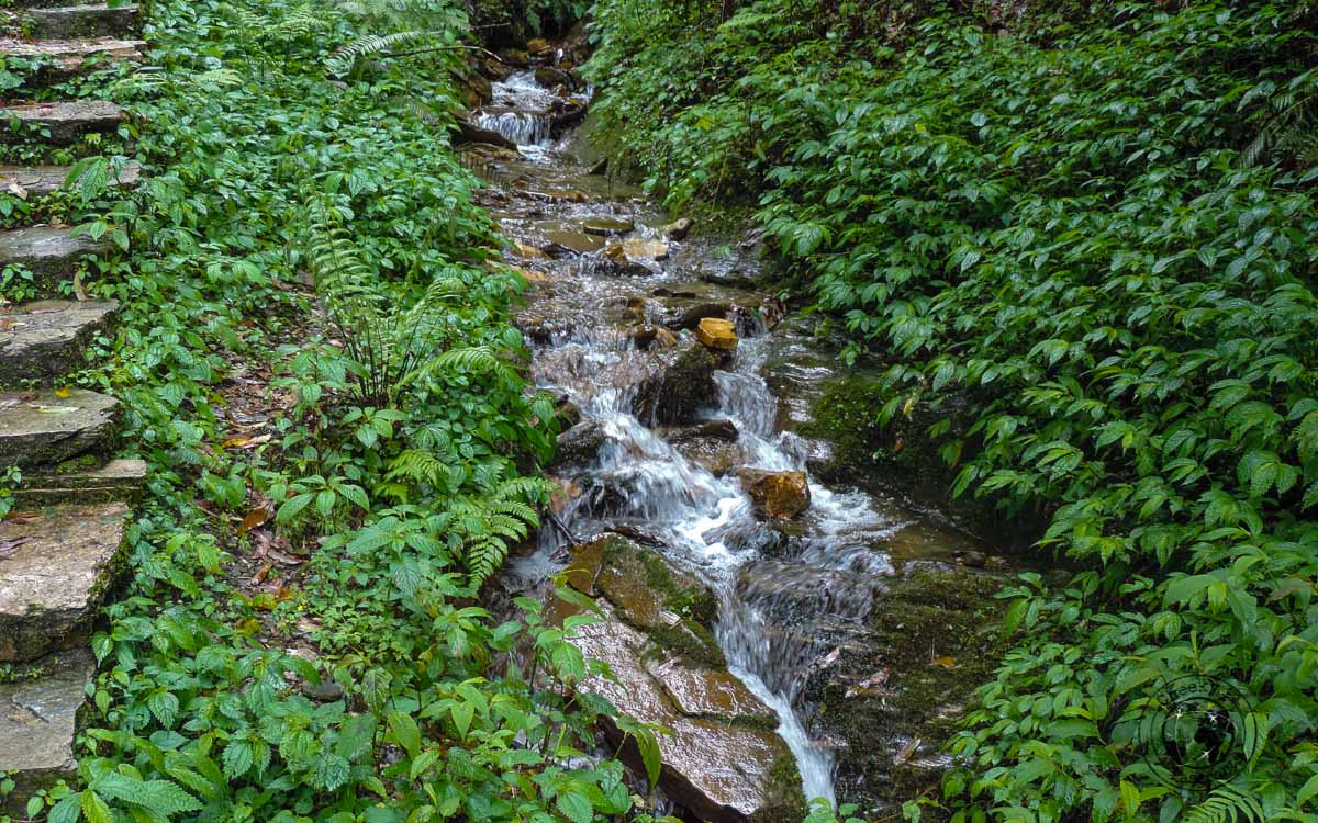 a river at the Poon hill trek, Pokhara