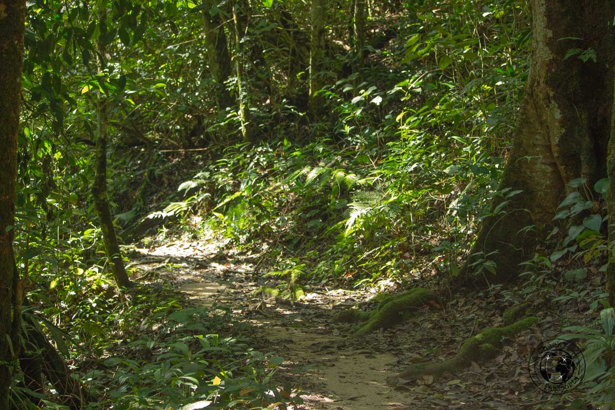 Cameron Highlands trekking - Places to visit in Cameron Highlands 