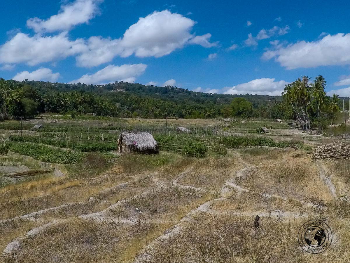 countryside scenary at Baucau - How to get to Jaco Island in Timor Leste – a guide