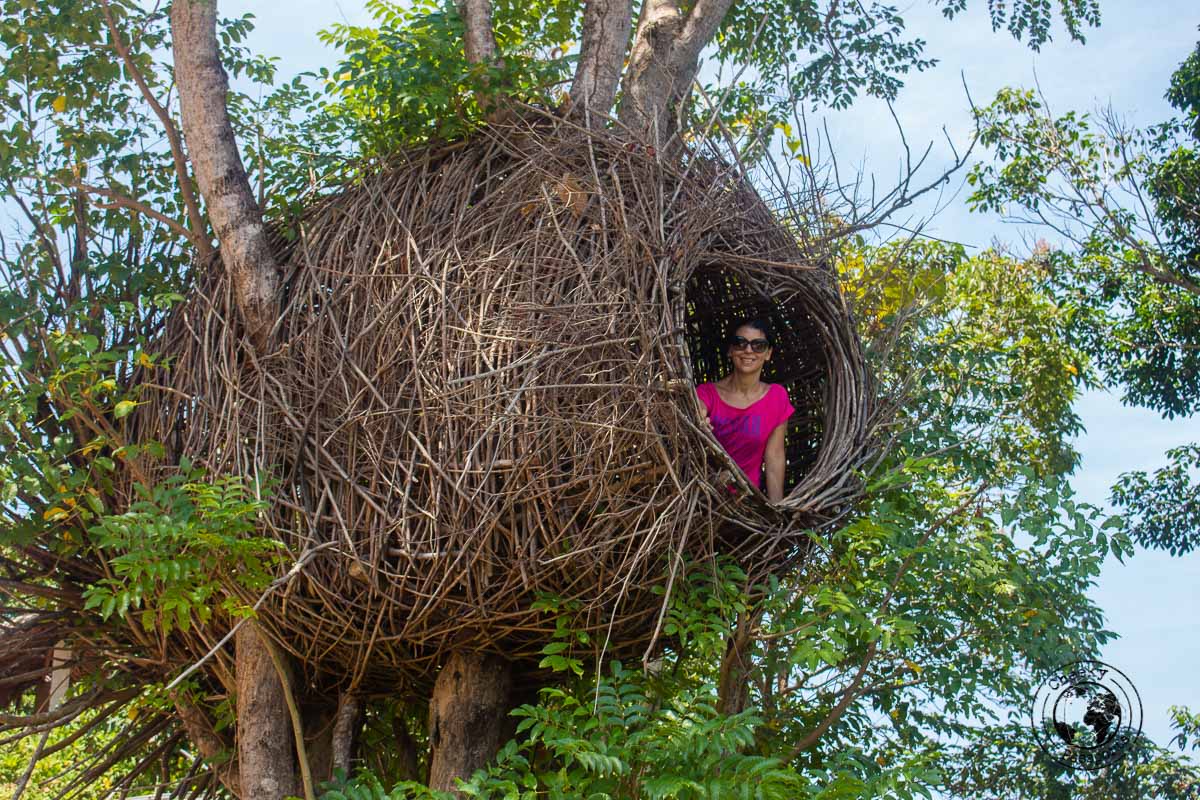 Michelle in a nest - Karimunjawa Islands Travel Guide and Information