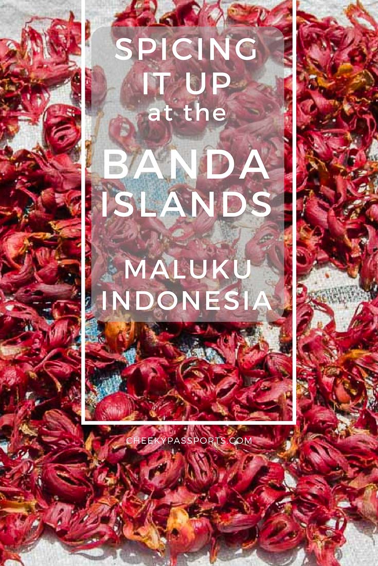 If you’re looking for some charming and relatively undeveloped islands to get off the beaten path in Indonesia, consider heading to the Eastern side of the archipelago. Here, the beauty of the Banda Islands in the Maluku province, will make you wonder why people even bother to go to Bali! Read on to find out more.