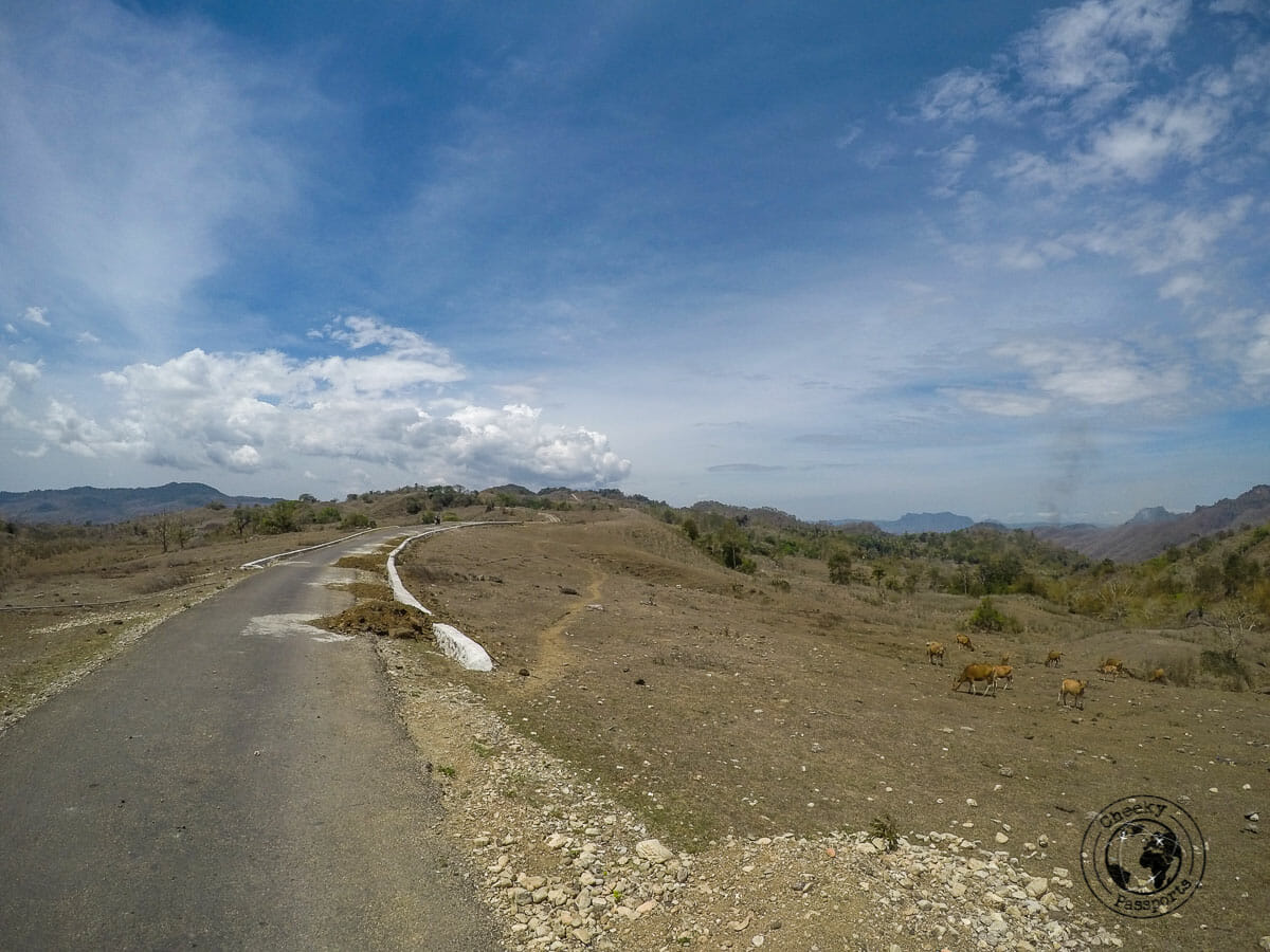 The roads leading to tamkesi village in west timor, whilst exploring Indonesian tribes