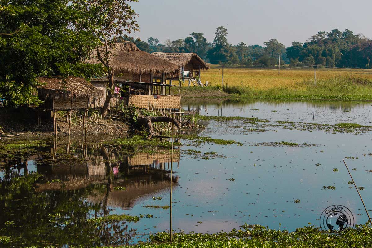 Lakeside Majuli homes - The Magic of Majuli Island – One of the Best Places to Visit in Assam