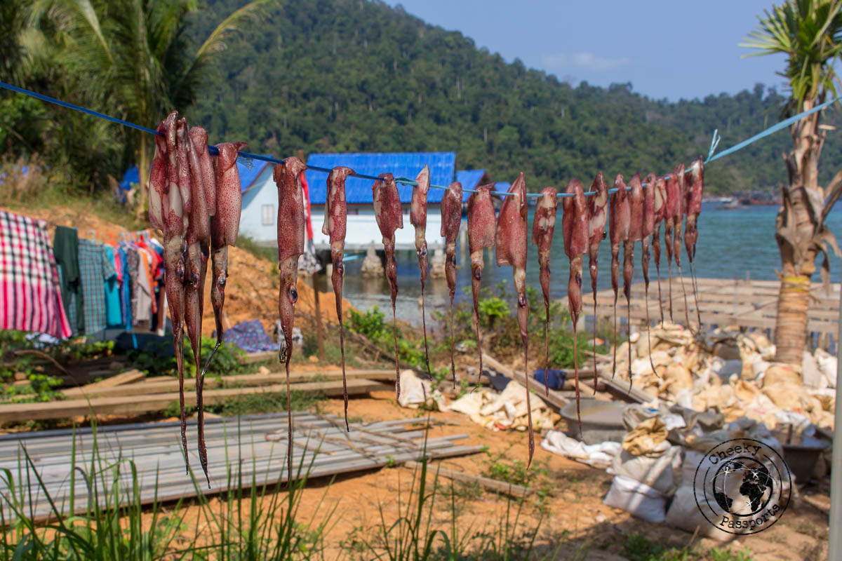 Lots of seafood at the Mergui - Untouched beaches of the Mergui Archipelago