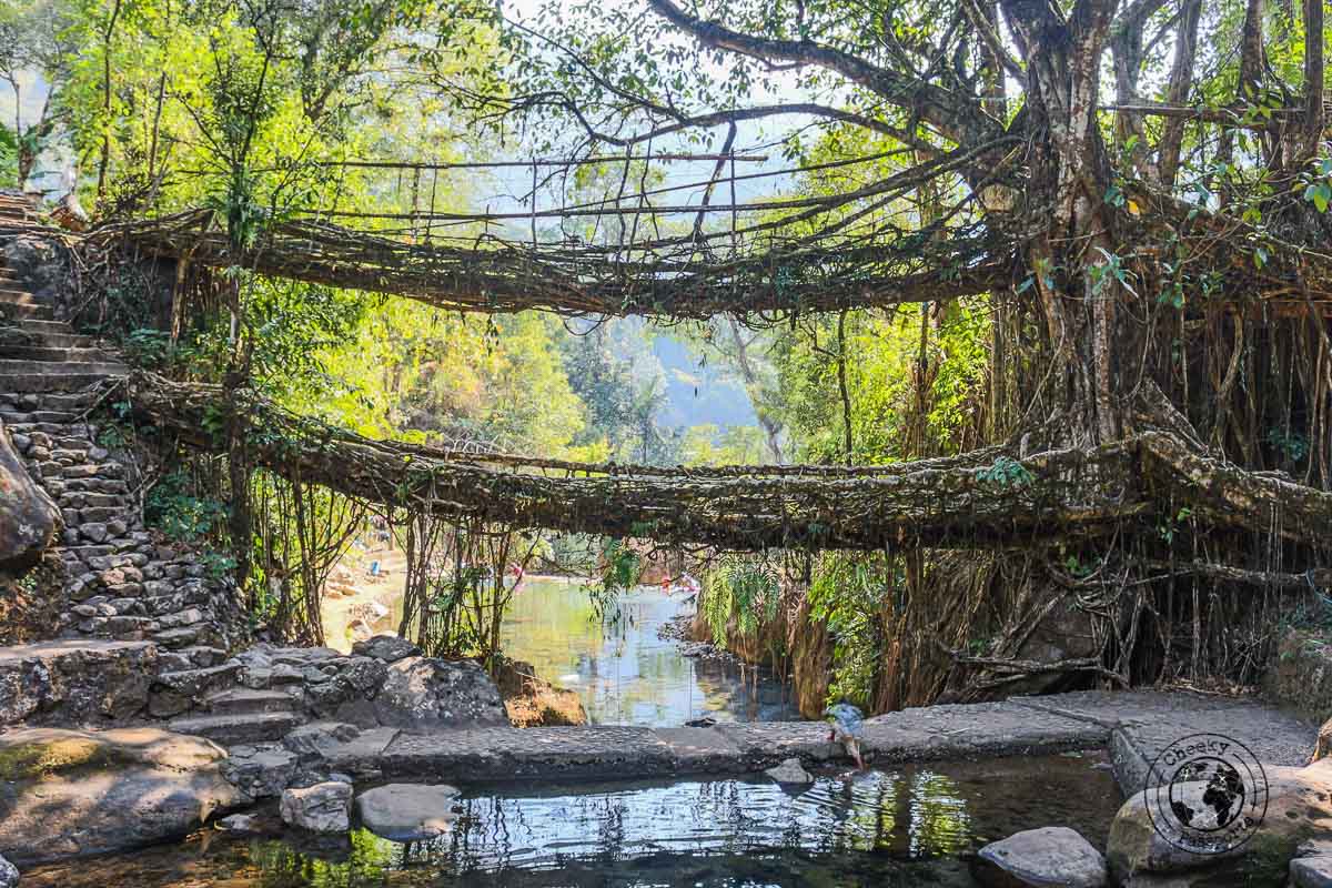 Double Root Bridge in Nongriat - Places to visit in Meghalaya