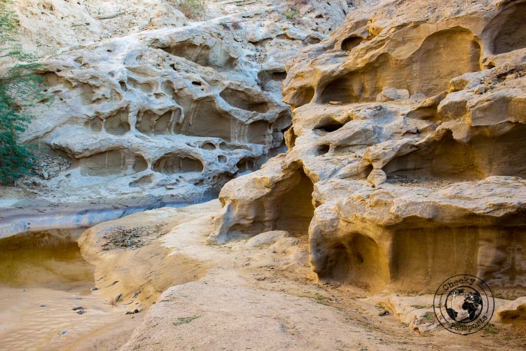 Entry to the Chahkooh Canyon in Qeshm island
