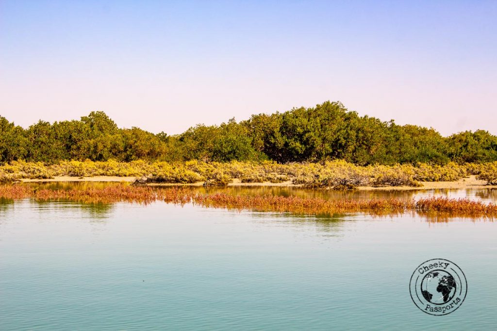 Hara Mangroves in Qeshm Island