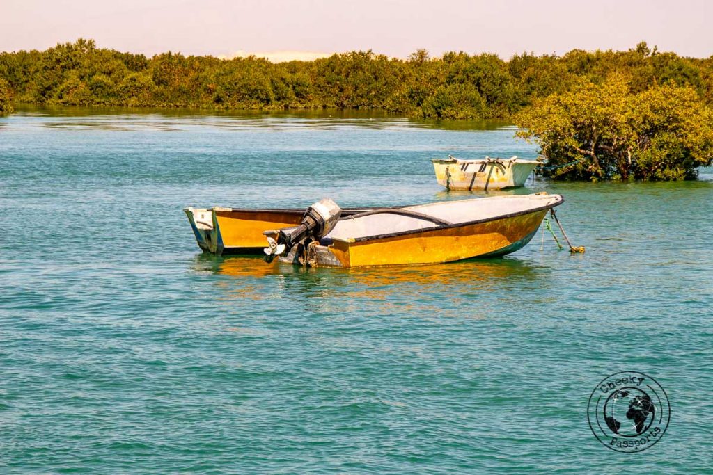 Tour boats at the Hara Mangrove sea forest during our qeshm travel