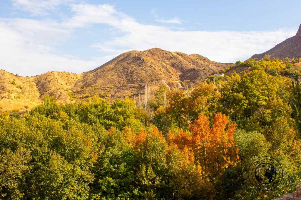 Vegetation in Ghalat